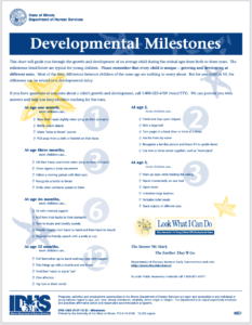 IDHS Developmental Milestones