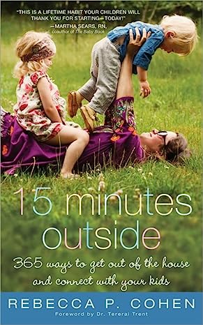 book cover 15 minutes